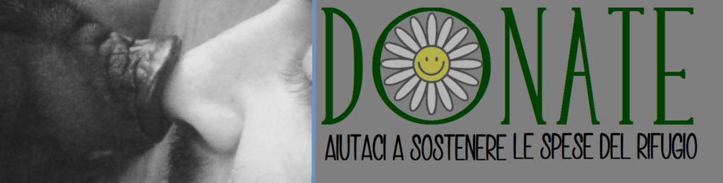 sostenere il santuario il maialino verde