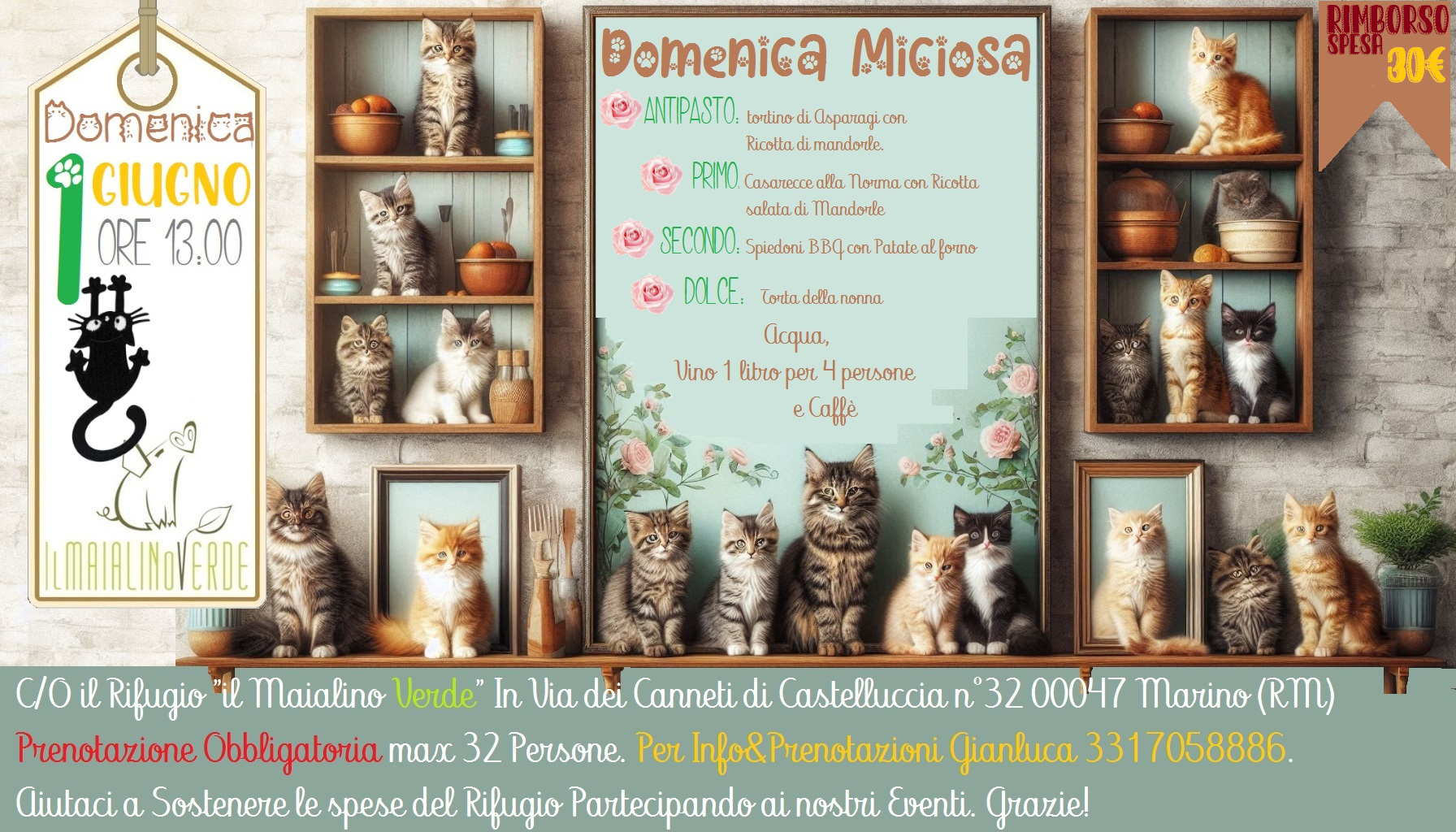 Domenica Miciosa – Pranzo Vegan per Il Maialino Verde e la Colonia Felina del Colle