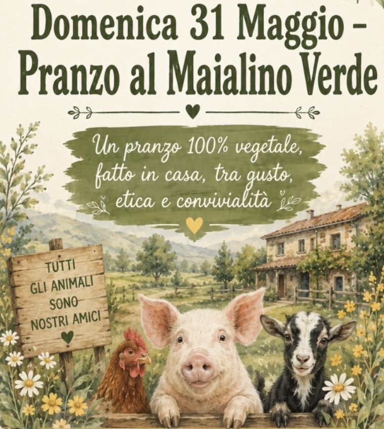pranzo vegano 31 maggio